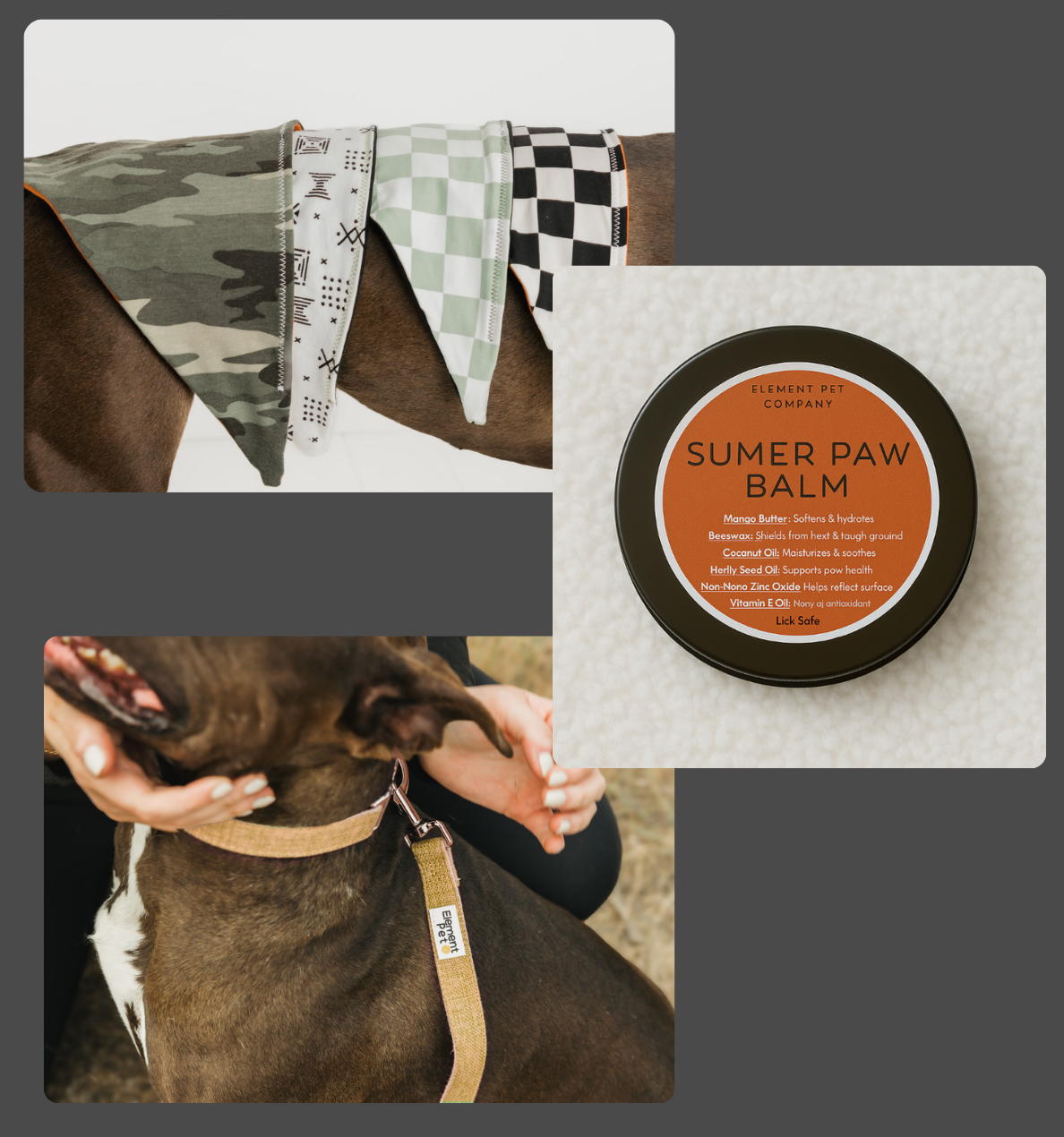 Puppy Starter Pack – Collar, Leash, Balm + Bandana/Bow