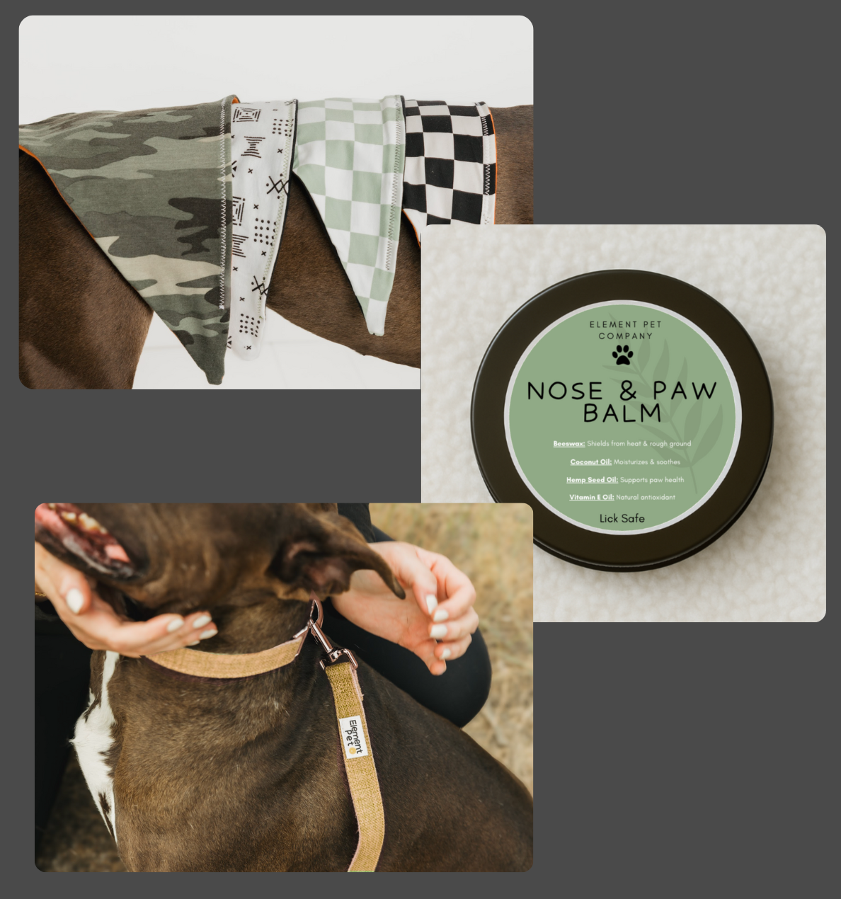 Puppy Starter Pack – Collar, Leash, Balm + Bandana/Bow