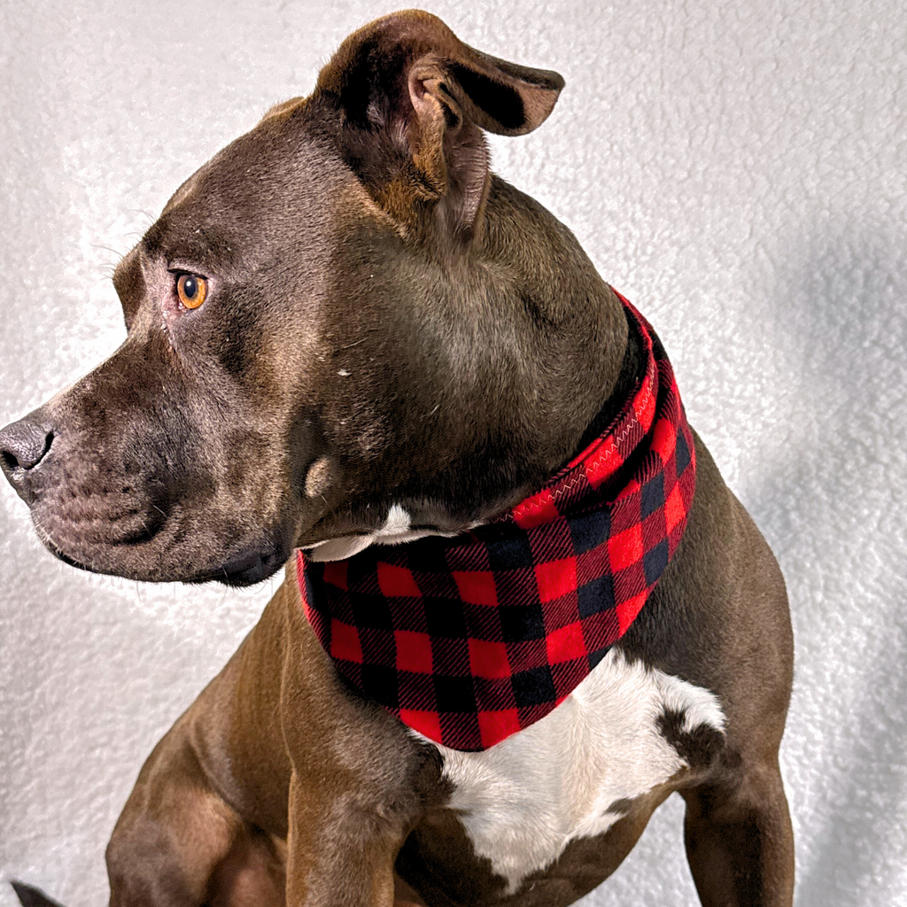 Festive AF Bandanas