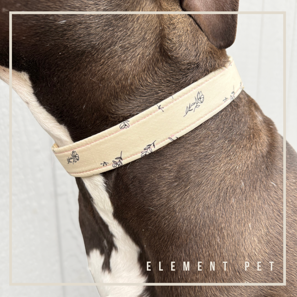 Hand Made Dog Collars