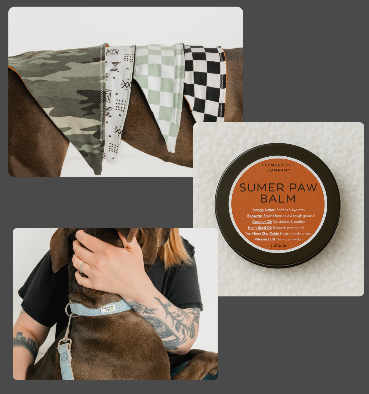 Puppy Starter Pack – Collar, Leash, Balm + Bandana/Bow