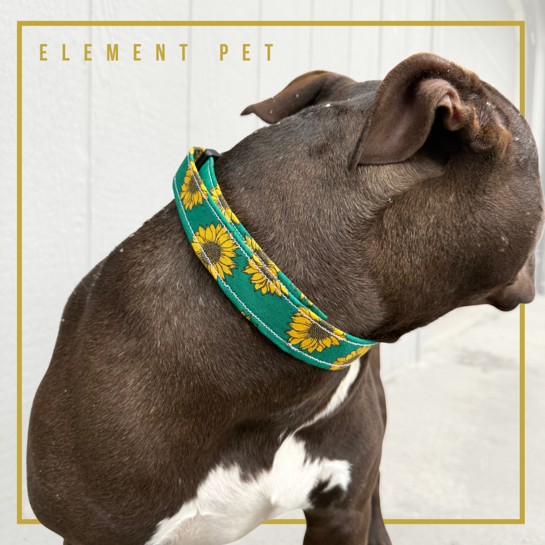 Hand Made Dog Collars