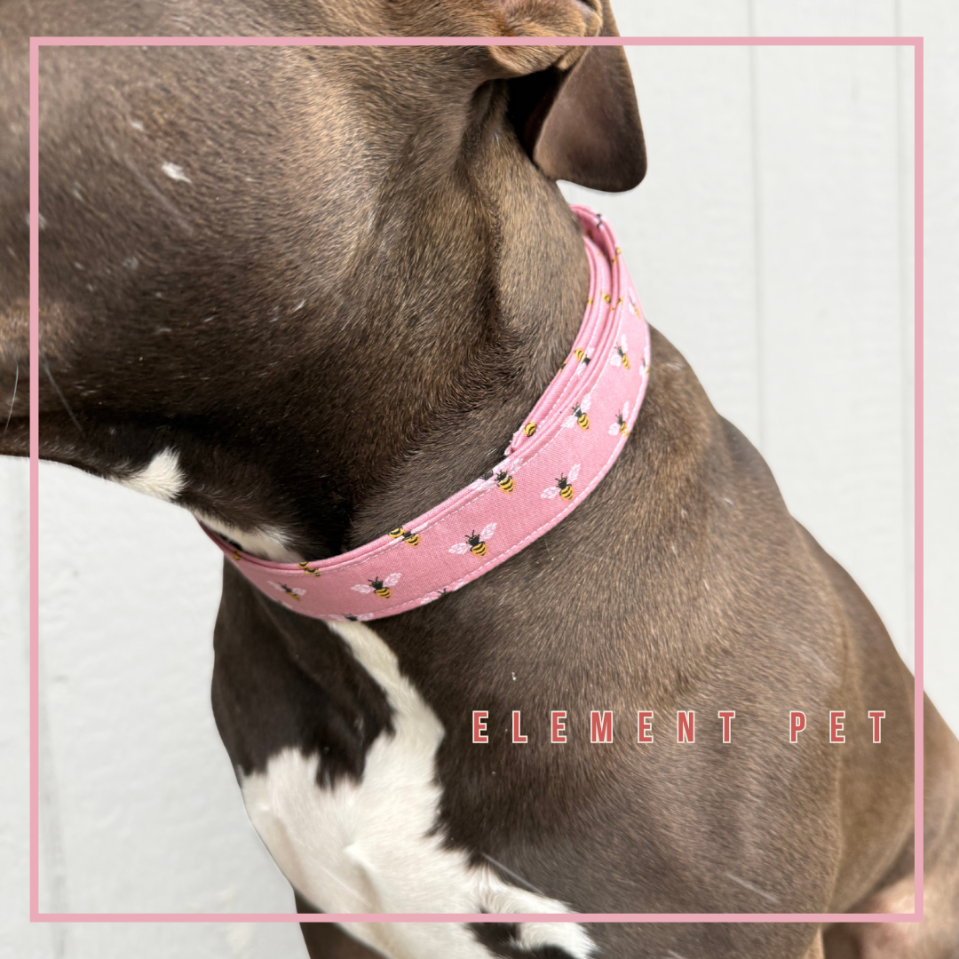 Hand Made Dog Collars