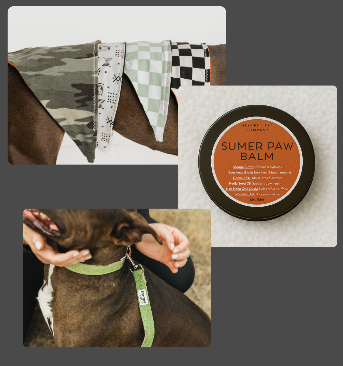 Puppy Starter Pack – Collar, Leash, Balm + Bandana/Bow