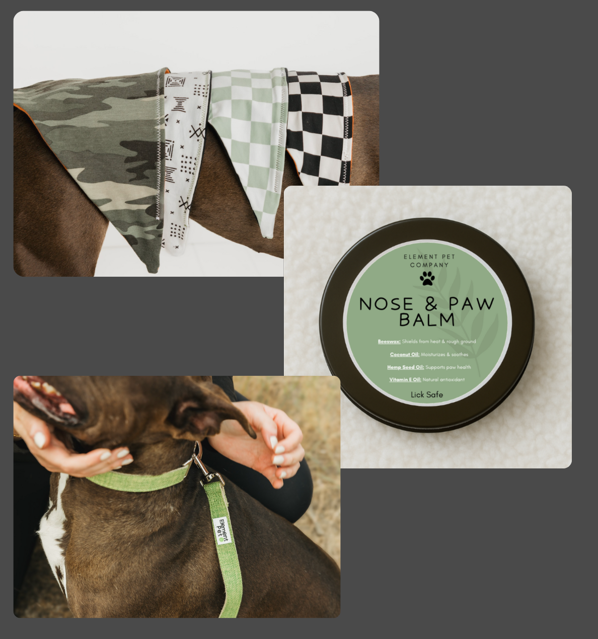 Puppy Starter Pack – Collar, Leash, Balm + Bandana/Bow