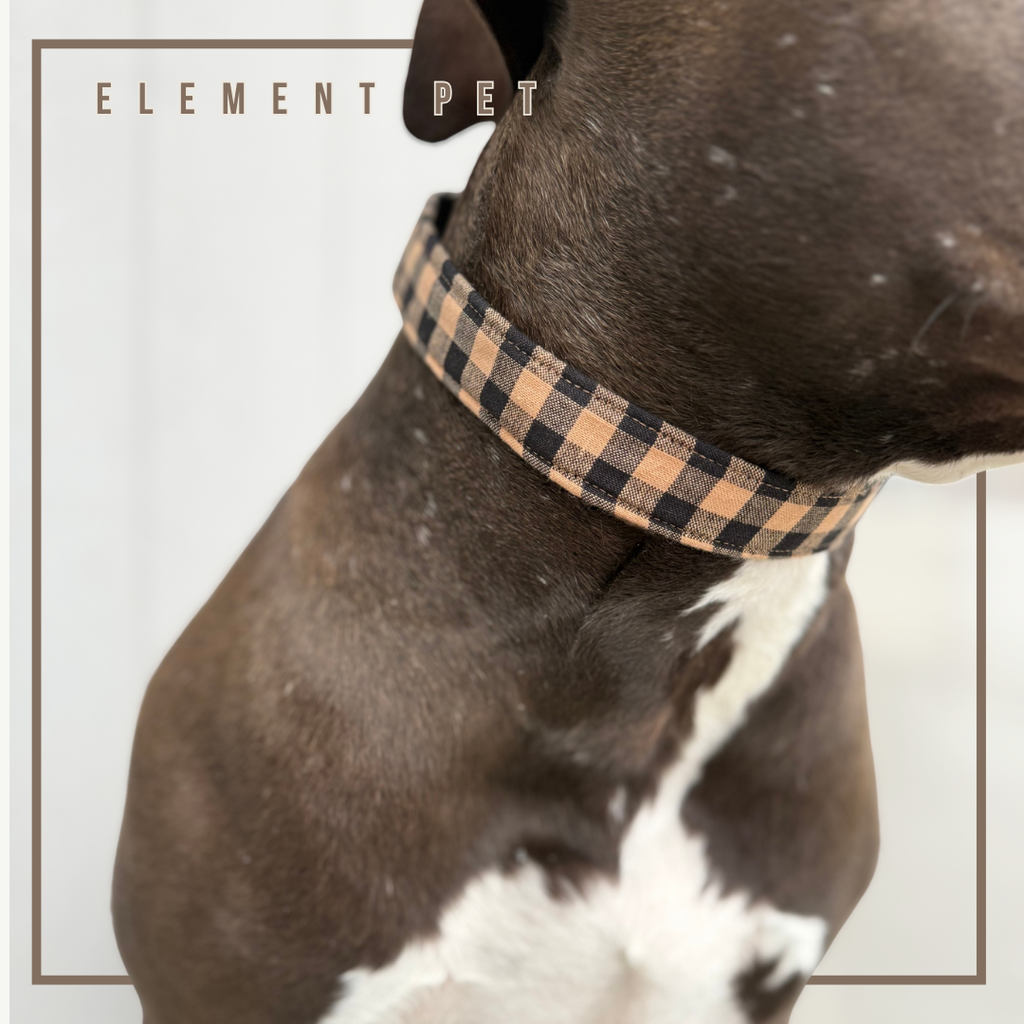 Hand Made Dog Collars