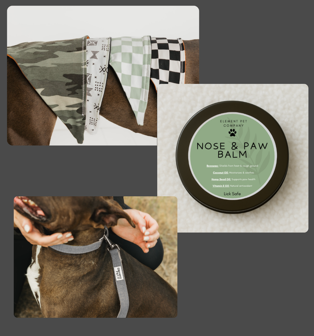 Puppy Starter Pack – Collar, Leash, Balm + Bandana/Bow
