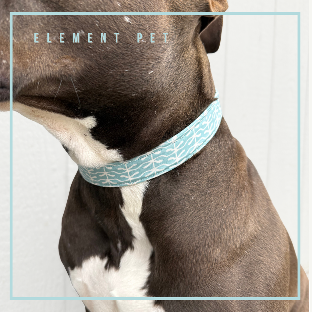 Hand Made Dog Collars