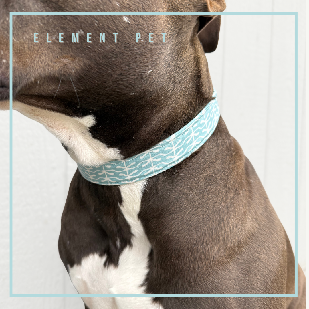 Hand Made Dog Collars