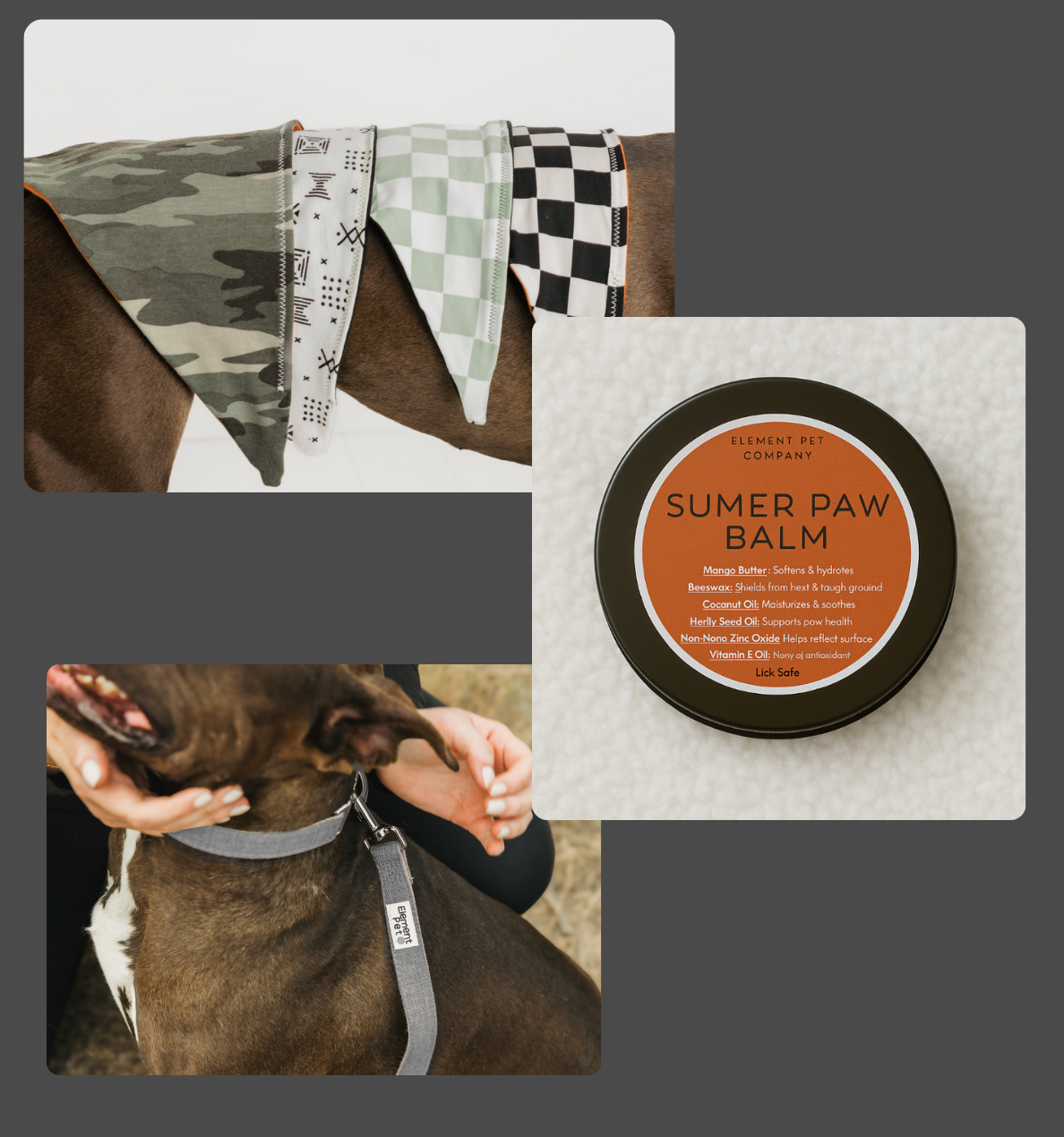 Puppy Starter Pack – Collar, Leash, Balm + Bandana/Bow