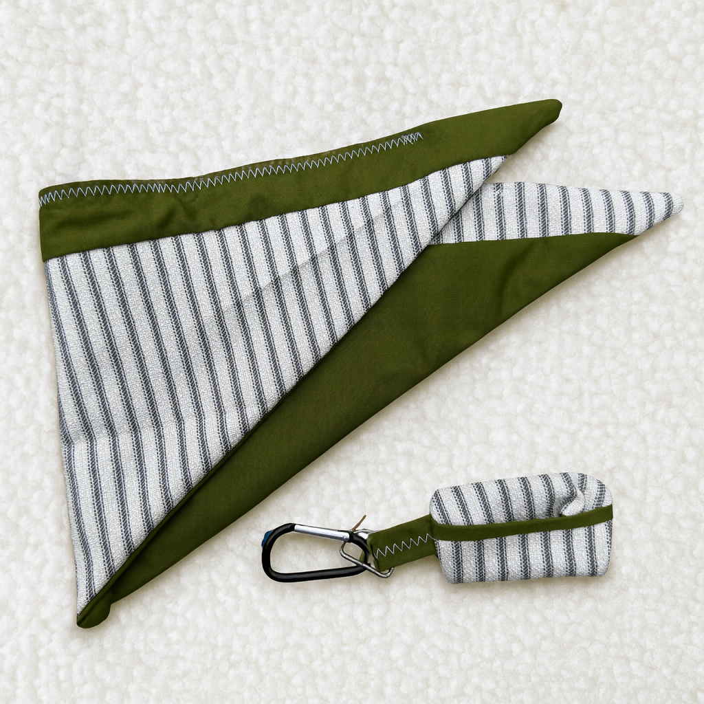 The Bag & Rag