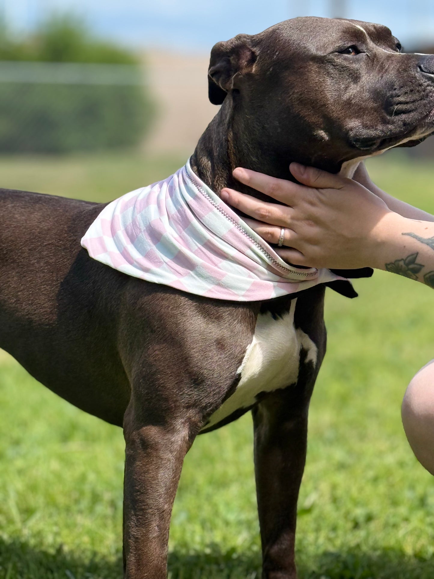 Pink & White, Adjustable hemp-lined dog bandana – breathable and lightweight