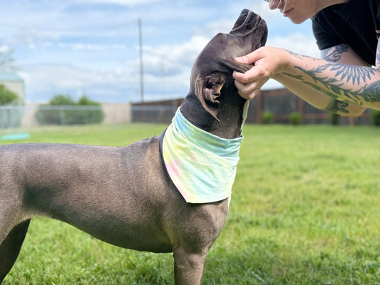 tie dye bandana, Adjustable hemp-lined dog bandana – breathable and lightweight