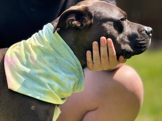 tie dye bandana, Adjustable hemp-lined dog bandana – breathable and lightweight