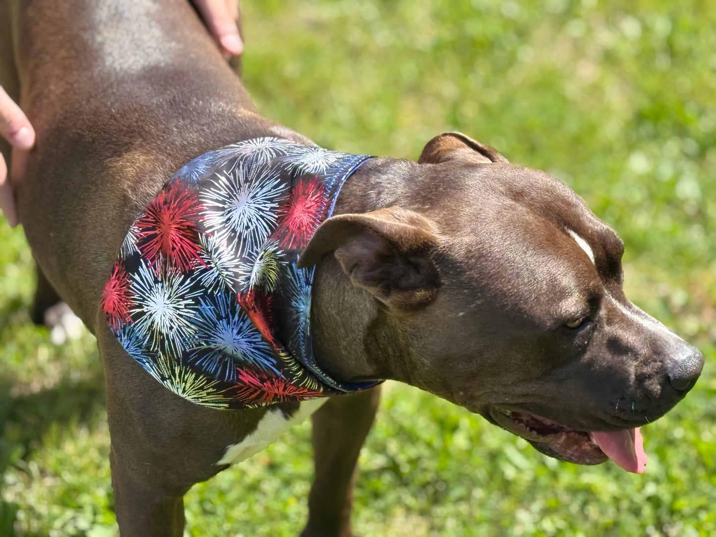 4th of july, Adjustable hemp-lined dog bandana – breathable and lightweight