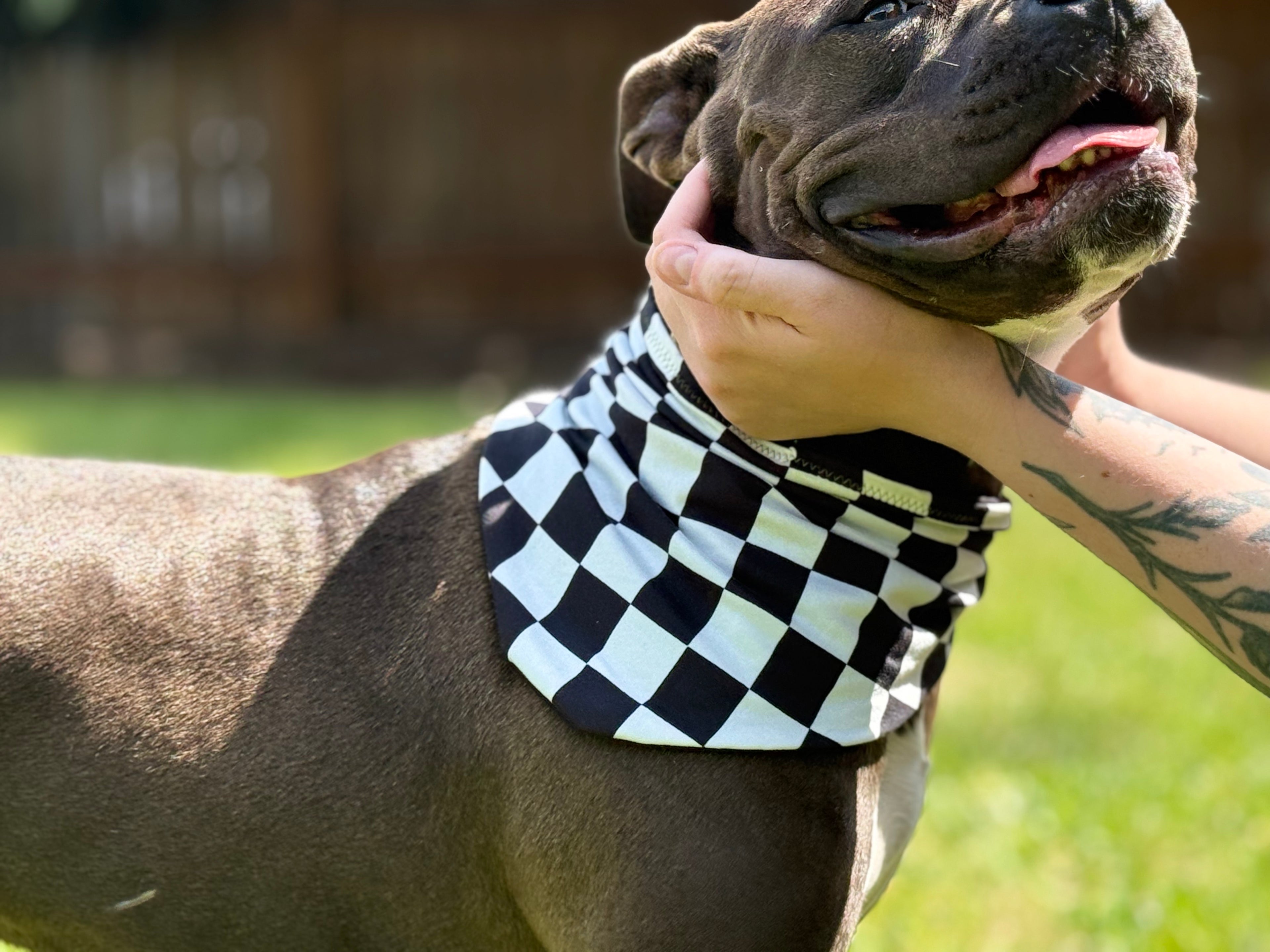 Black & White, Adjustable hemp-lined dog bandana – breathable and lightweight