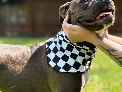 Black & White, Adjustable hemp-lined dog bandana – breathable and lightweight