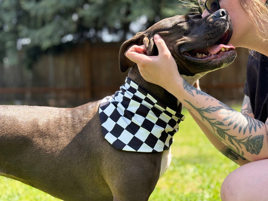 Black & White, Adjustable hemp-lined dog bandana – breathable and lightweight
