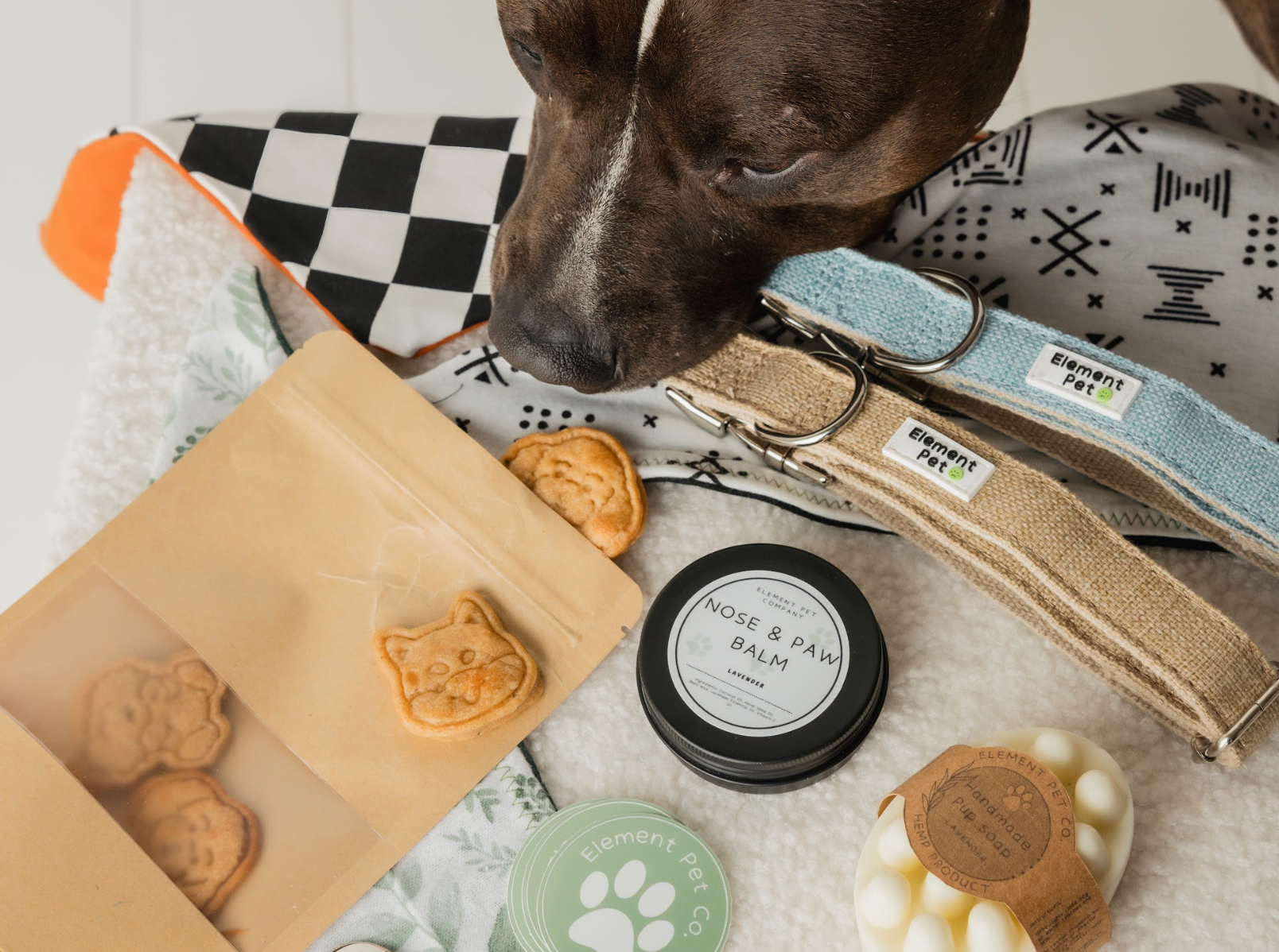 Puppy Starter Pack – Collar, Leash, Balm + Bandana/Bow