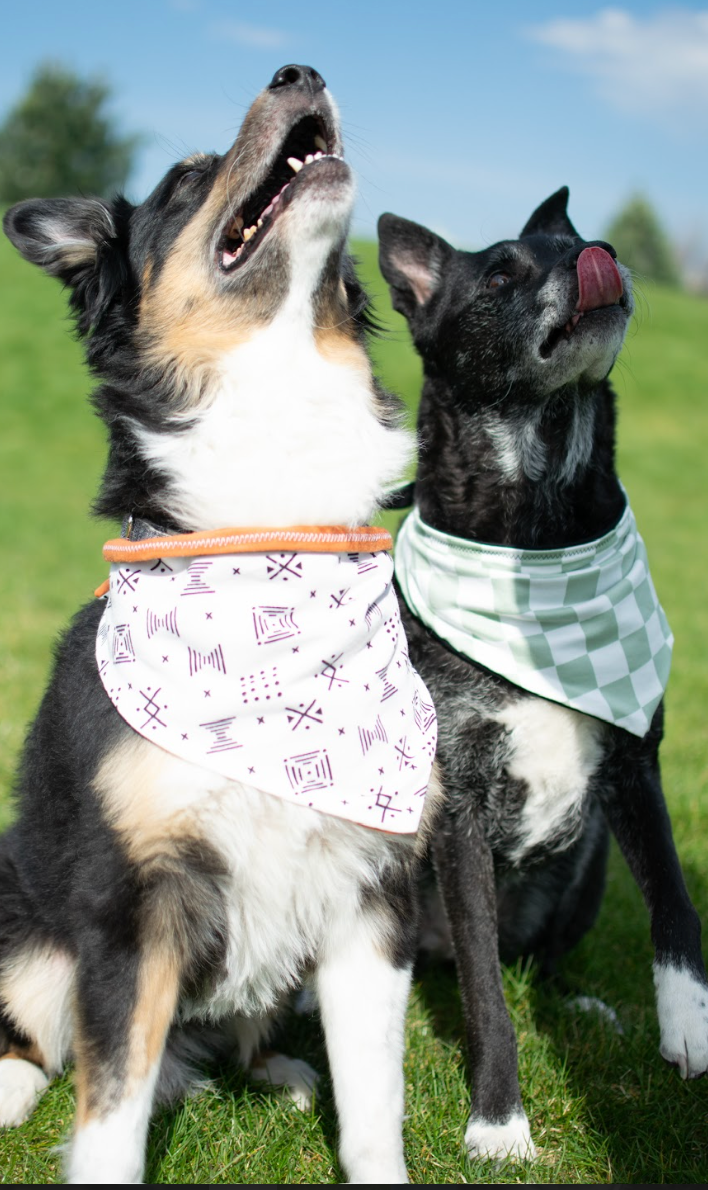 Element Bandanas