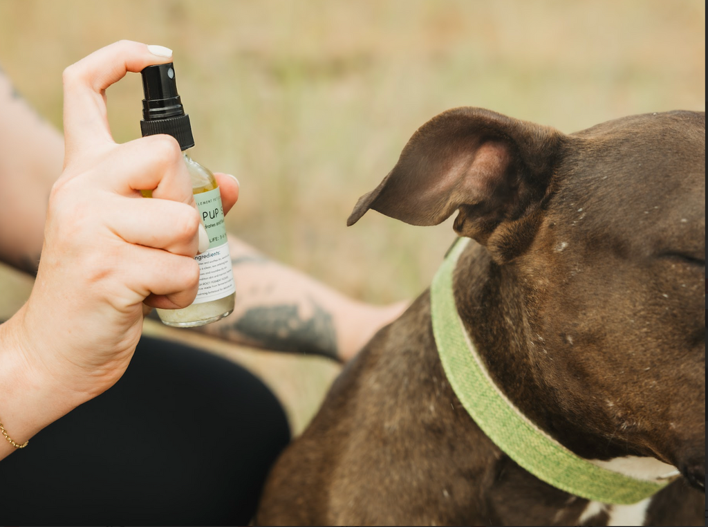 Fresh AF Spray (For Stinky Dogs)